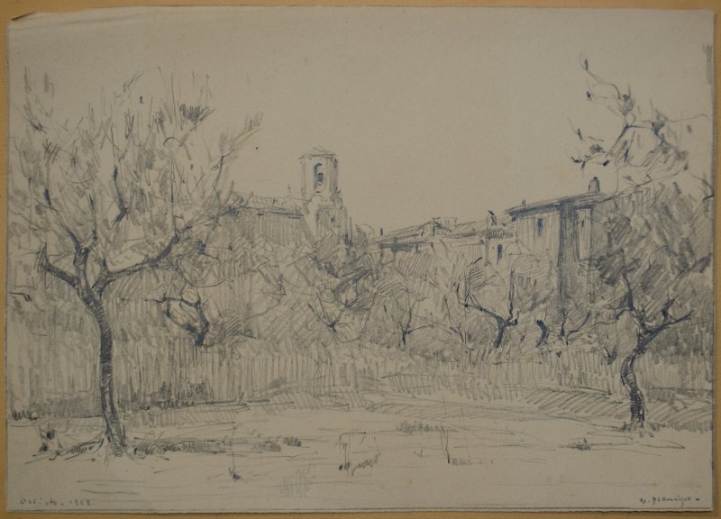 1922 - Alberi di olivo nell'orto di Sant'Anna